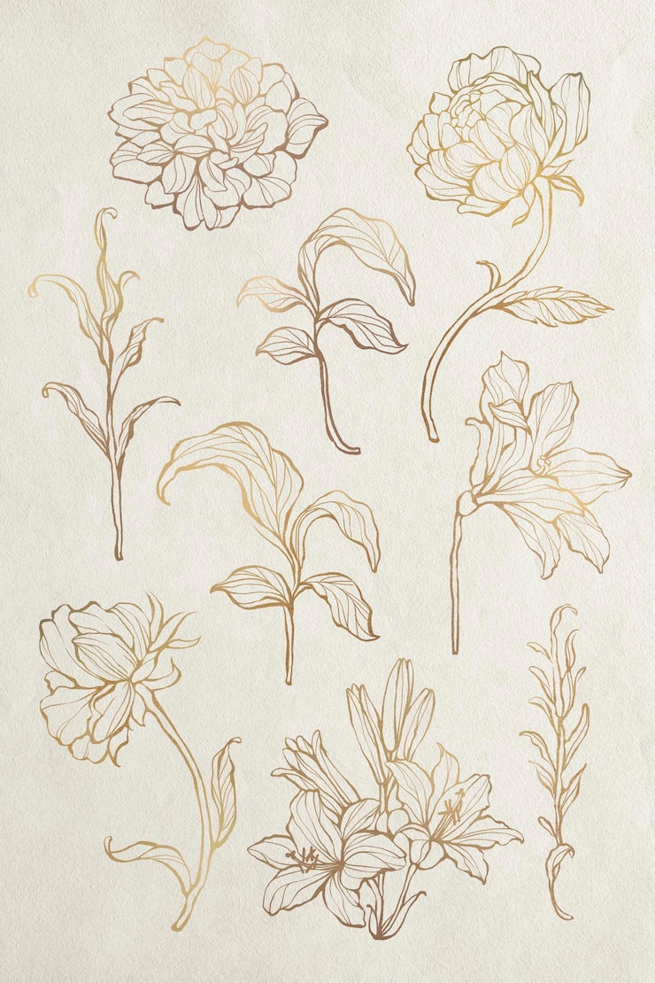 Vecteur gratuit ensemble de contour floral or