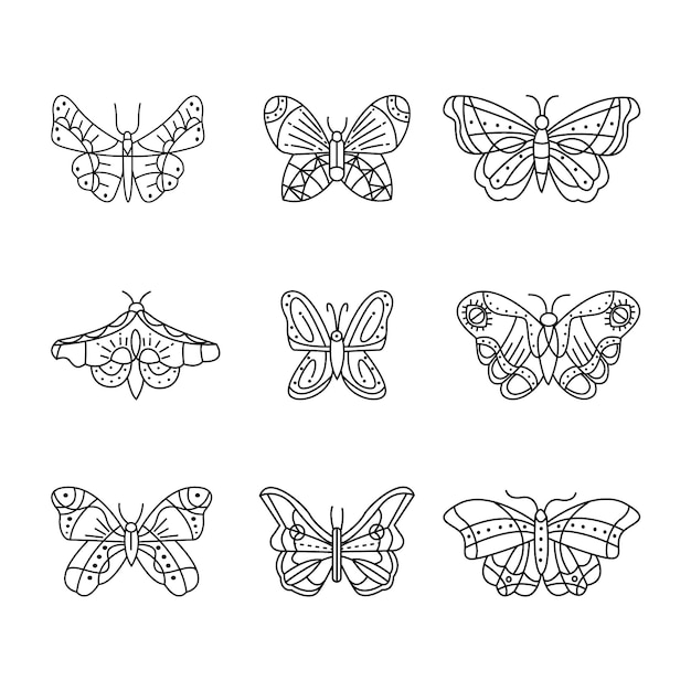 Vecteur gratuit ensemble de contour de papillon plat linéaire