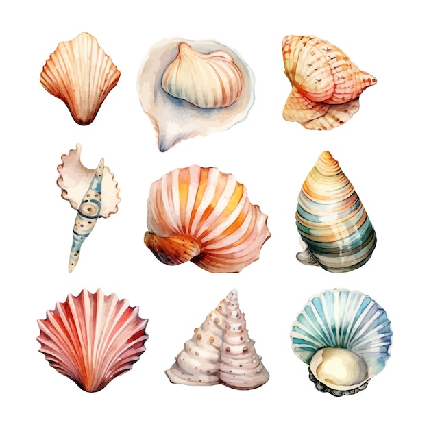 Vecteur gratuit ensemble de coquillages aquarelles sur illustration isolée clipart de mer