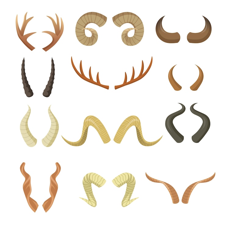 Vecteur gratuit ensemble de cornes diverses. paires de bois, bélier, renne, orignal, vache, cerf, antilope, parties cornées de cerf isolés sur blanc