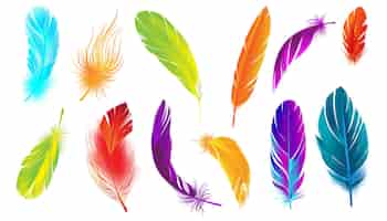 Vecteur gratuit ensemble de couleurs de plumes réalistes avec des images isolées de plumes d'oiseau de couleur différente sur l'illustration vectorielle de fond blanc