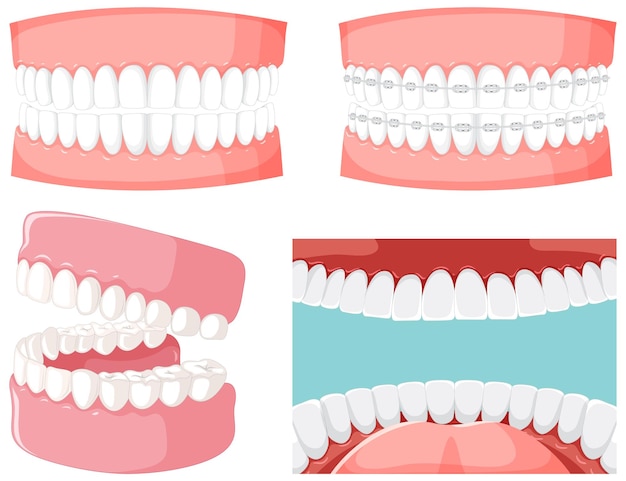 Vecteur gratuit ensemble de dents à l'intérieur de la bouche humaine avec un modèle de dents humaines