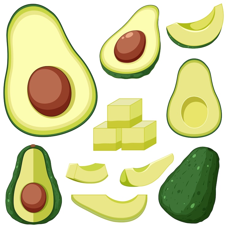 Vecteur gratuit ensemble de dessin animé de fruits d'avocat