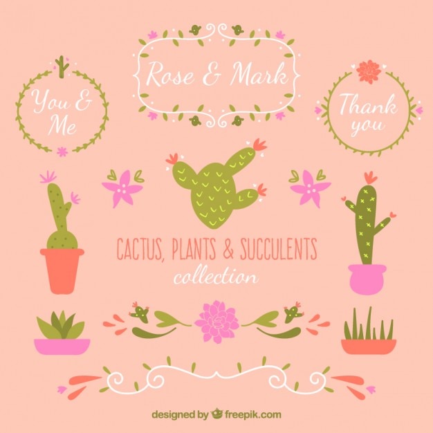 Vecteur gratuit ensemble de dessiné à la main la décoration de cactus pour le mariage