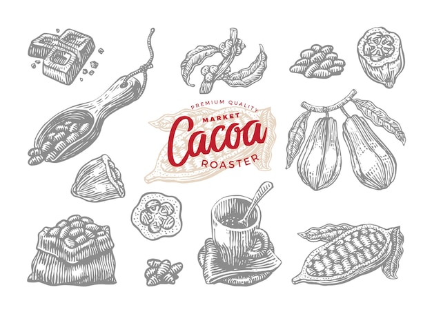 Vecteur gratuit ensemble de dessins de cacao torréfié