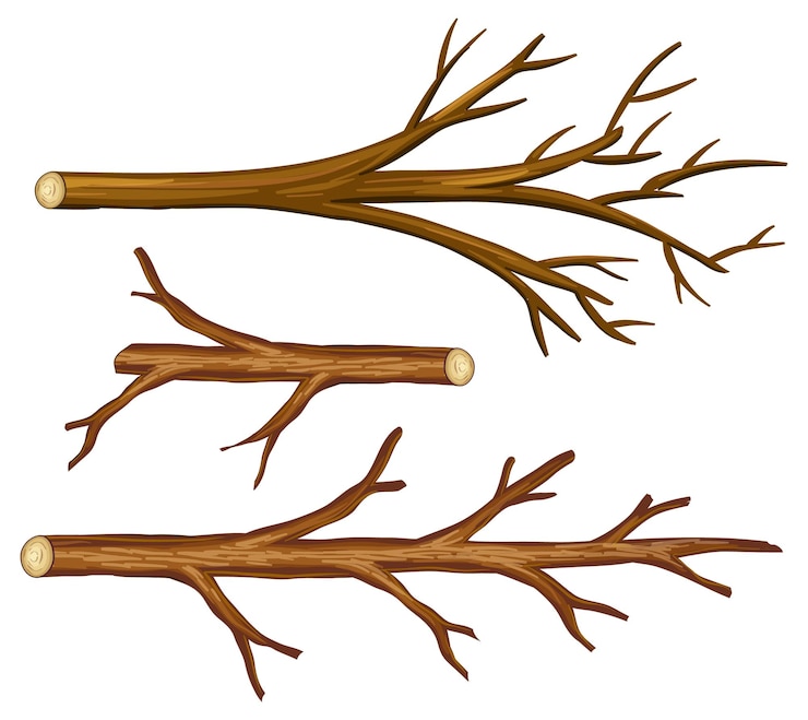 Vecteur gratuit ensemble de différentes branches d'arbres isolés
