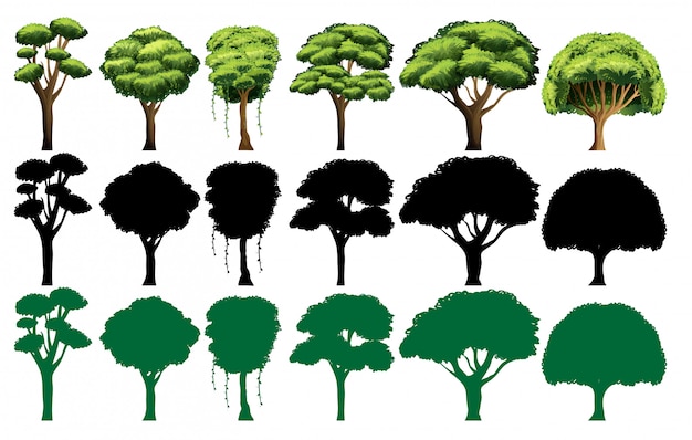 Vecteur gratuit ensemble de différents arbres