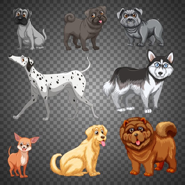 Ensemble de différents chiens isolés