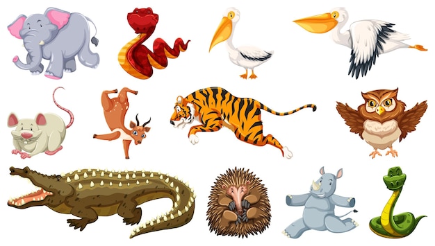 Vecteur gratuit ensemble de différents personnages de dessins animés d'animaux sauvages