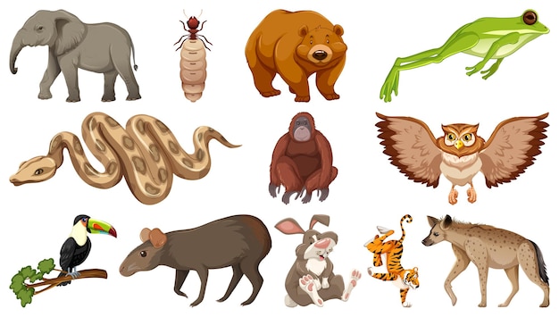 Vecteur gratuit ensemble de différents personnages de dessins animés d'animaux sauvages