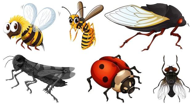 Vecteur gratuit ensemble de différents types d'insectes