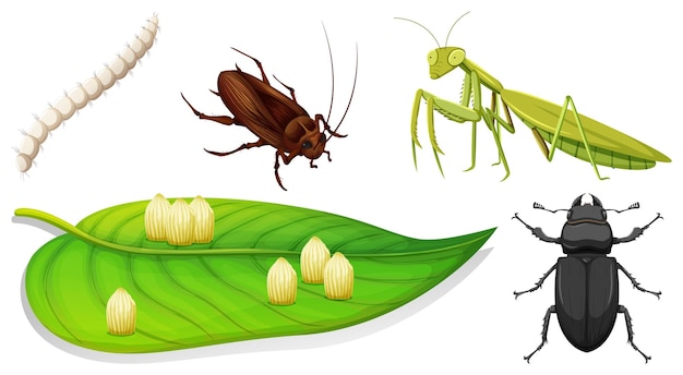 Vecteur gratuit ensemble de différents types d'insectes