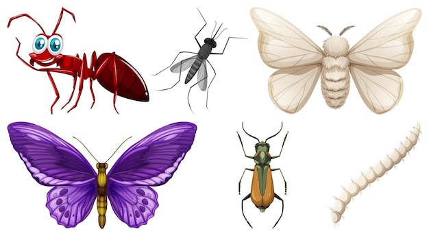 Vecteur gratuit ensemble de différents types d'insectes