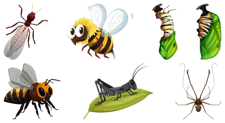 Vecteur gratuit ensemble de différents types d'insectes