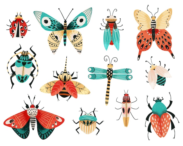 Ensemble De Divers Insectes Avec Coléoptères Papillons Et Papillons Libellule Collection De Coléoptères Exotiques Vecteur Premium