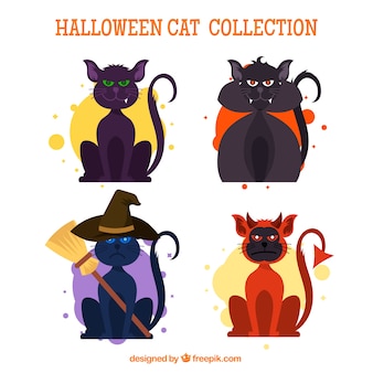 Ensemble effrayant de chats halloween