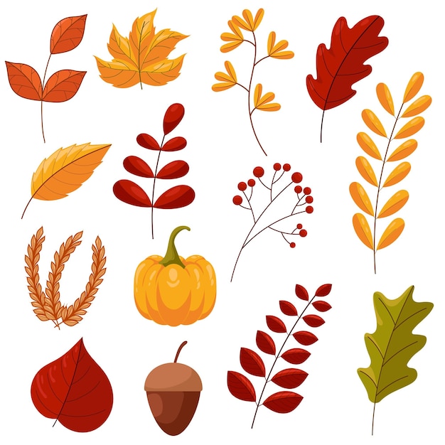 Ensemble d'éléments collection automne