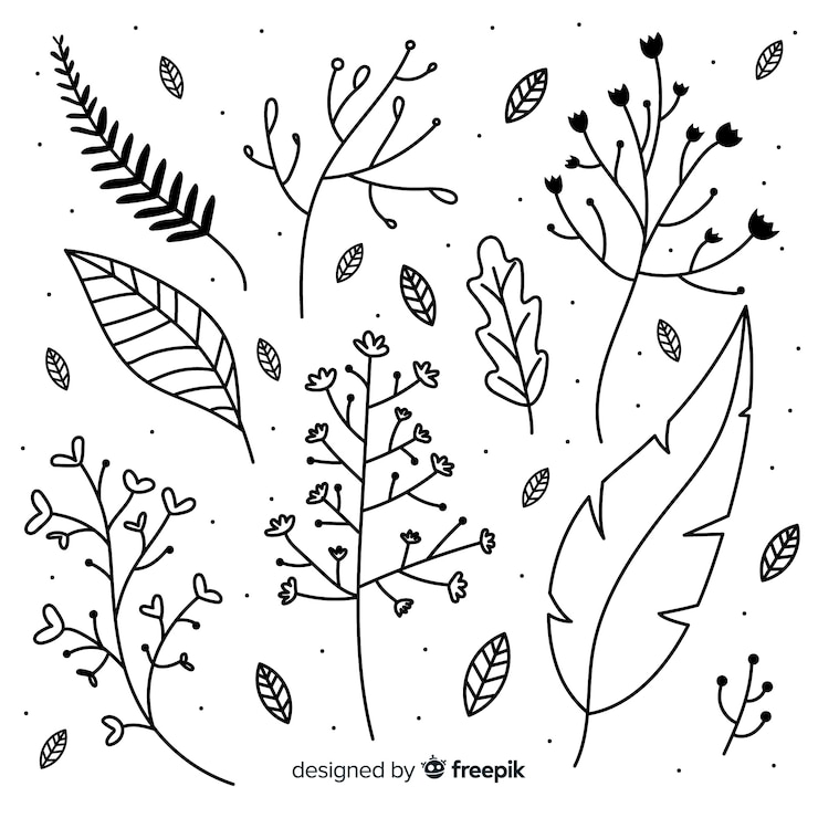 Vecteur gratuit ensemble d'éléments de décoration florale incolore