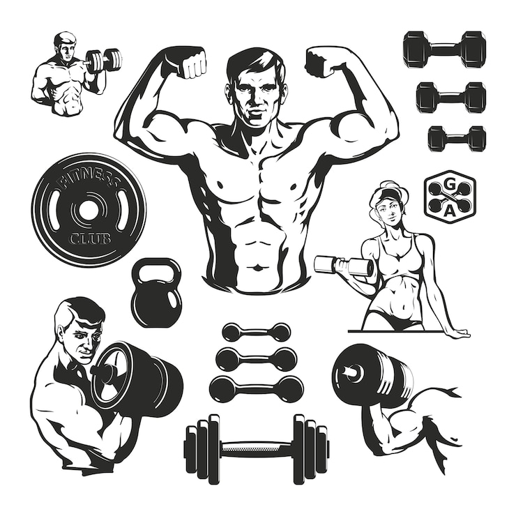 Vecteur gratuit ensemble d'éléments de fitness gym
