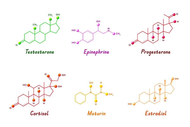 Vecteur gratuit ensemble d'éléments d'hormones de gradient