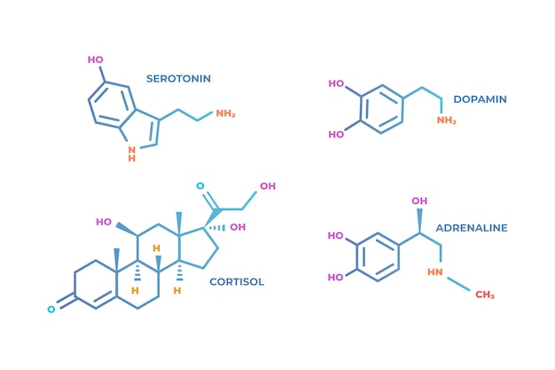 Vecteur gratuit ensemble d'éléments d'hormones de gradient