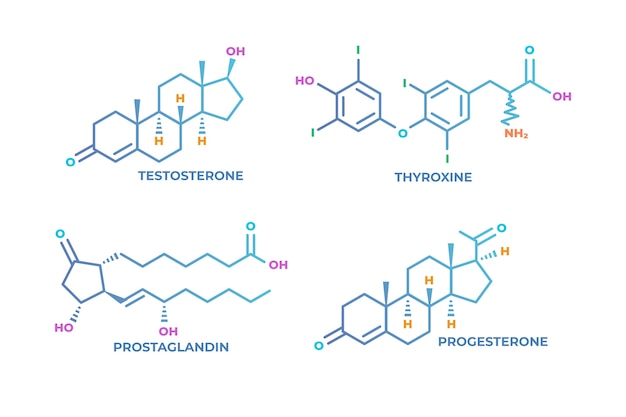 Vecteur gratuit ensemble d'éléments d'hormones de gradient