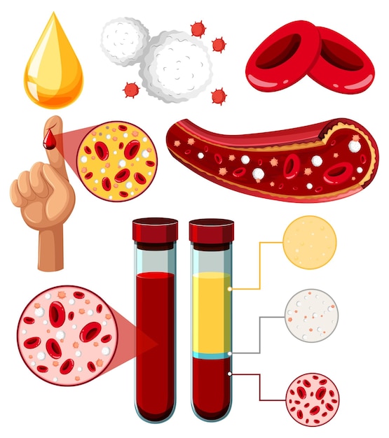 Ensemble D'équipements Nécessaires Pour L'expérience Scientifique