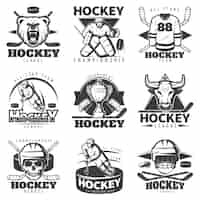 Vecteur gratuit ensemble d'étiquettes de hockey vintage