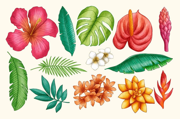 Vecteur gratuit ensemble de feuilles et de fleurs tropicales dessinées à la main