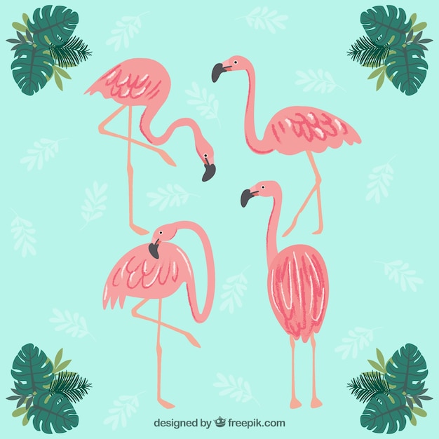 Vecteur gratuit ensemble de flamants roses avec différentes postures