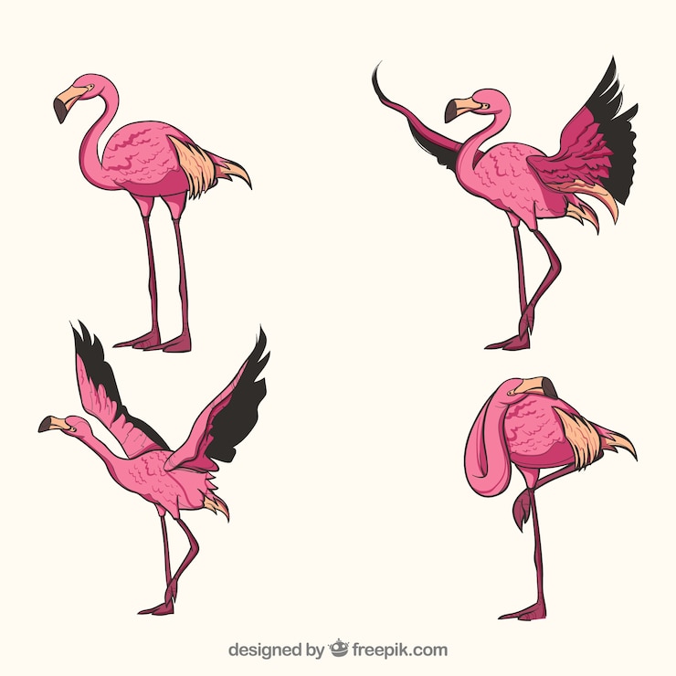 Vecteur gratuit ensemble de flamants roses avec différentes postures