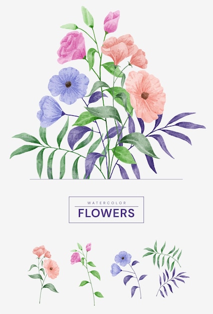 Vecteur gratuit ensemble de fleurs aquarelle.