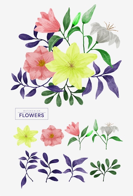 Vecteur gratuit ensemble de fleurs aquarelle.