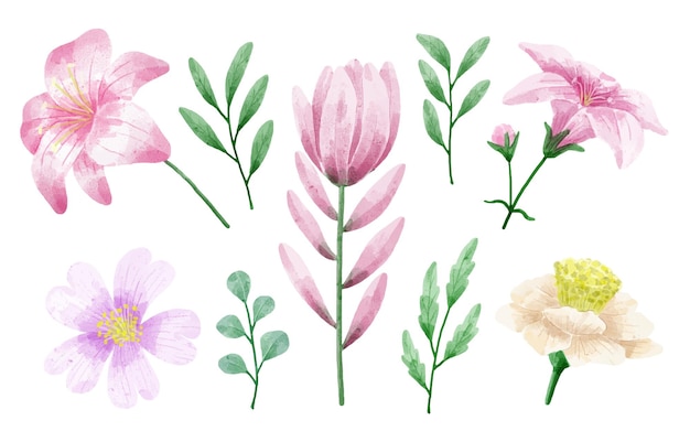 Ensemble de fleurs aquarelles