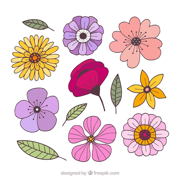 Ensemble De Fleurs Colorées Dans Un Style Dessiné à La Main