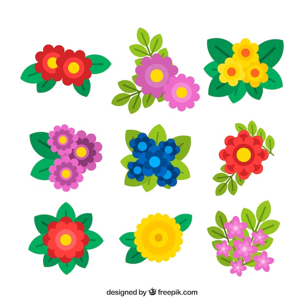 Ensemble de fleurs colorées dans un style plat