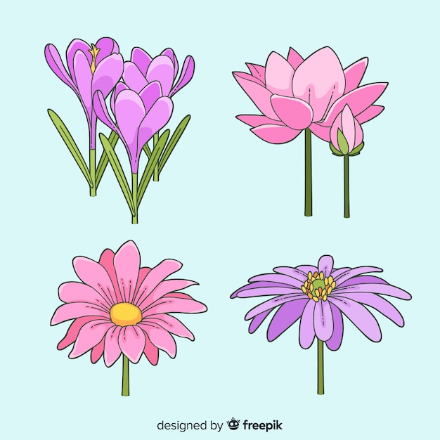 Ensemble De Fleurs Colorées Dessinées à La Main