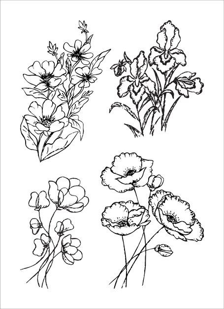 Ensemble de fleurs dessinées à la main