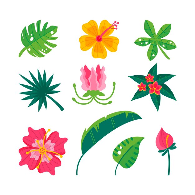 Ensemble de fleurs et feuilles tropicales