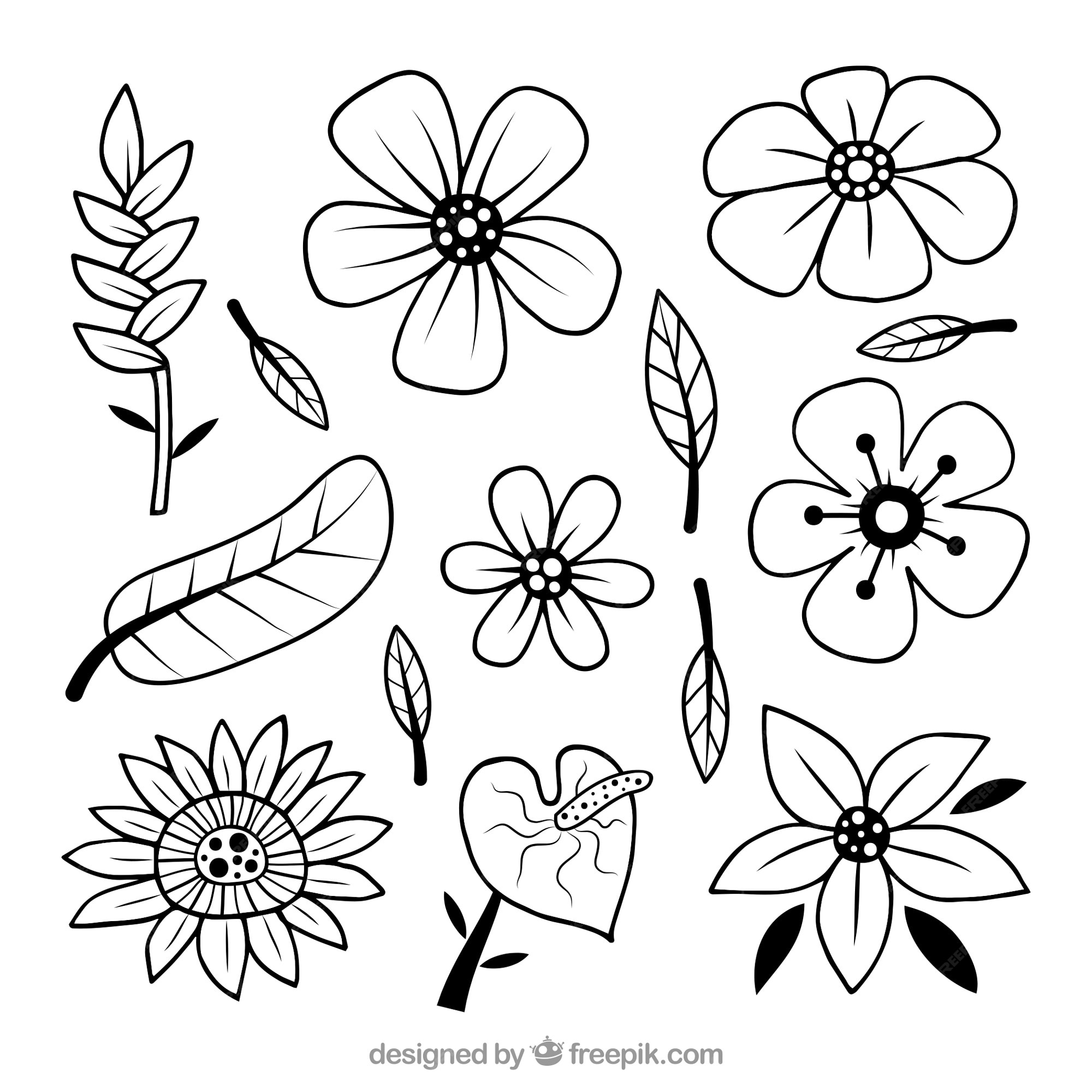 Dessin Fleur Noir Et Blanc Facile Page 3 | Images de Dessin Fleur Imprimer – Téléchargement gratuit sur Freepik