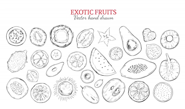 Vecteur gratuit ensemble de fruits exotiques et de baies tropicales