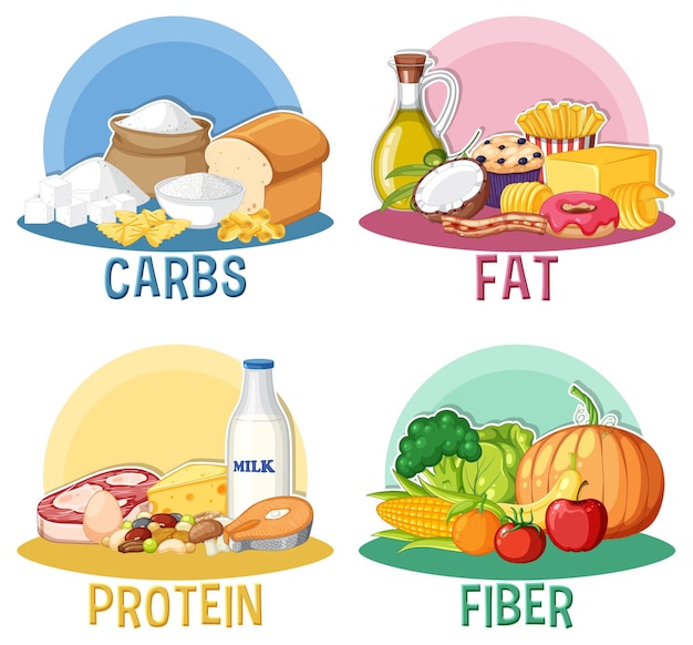 Ensemble De Groupes De Nutrition Alimentaire