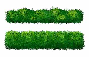 Vecteur gratuit ensemble de haies vertes de buissons réalistes isolés sur illustration vectorielle fond blanc