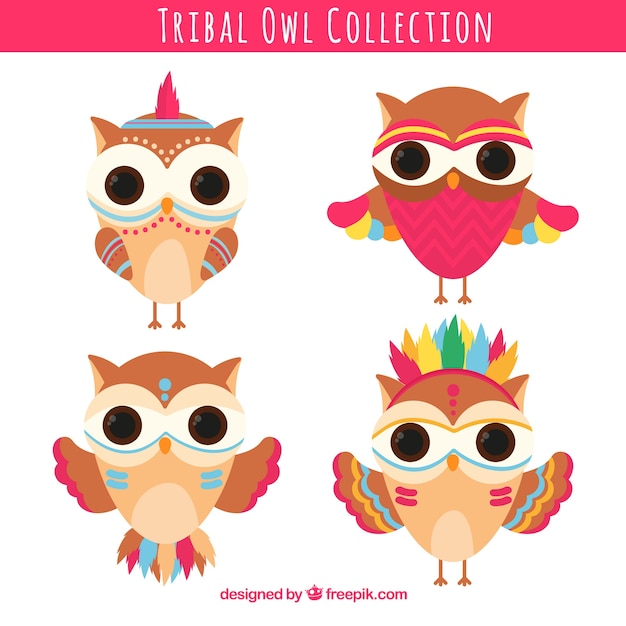 Vecteur gratuit ensemble de hibou rose