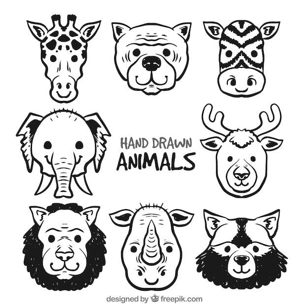 Ensemble de huit visages d&#39;animaux dessinés à la main