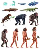 Vecteur gratuit ensemble d'icônes darwin evolution