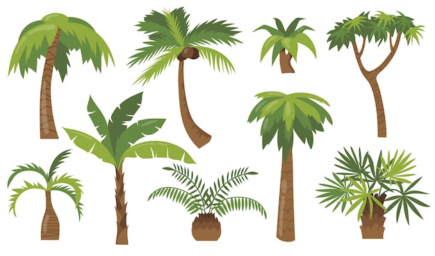 Ensemble d'icônes plat divers palmiers de dessin animé