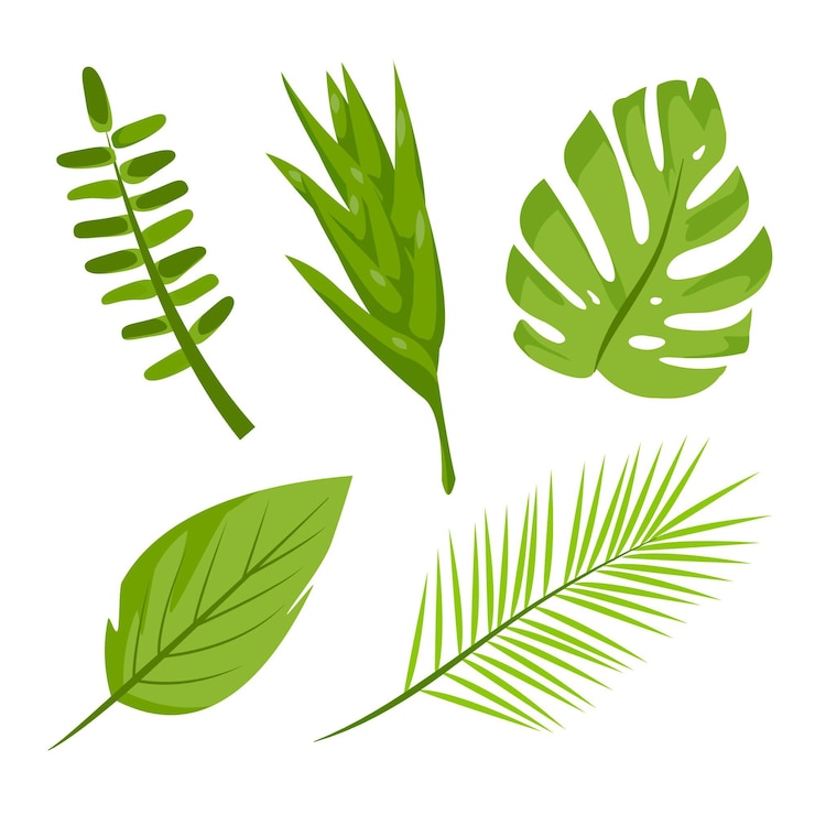 Vecteur gratuit ensemble d'illustration de feuilles tropicales monochromes