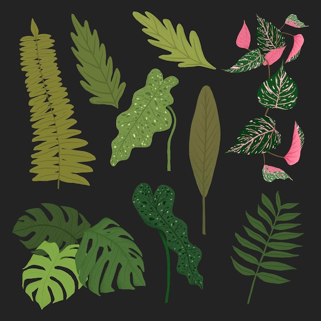 Vecteur gratuit ensemble d'illustrations botaniques végétales vectorielles à feuilles tropicales