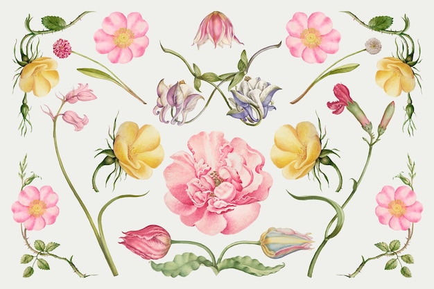 Vecteur gratuit ensemble d'illustrations de fleurs en fleurs vintage